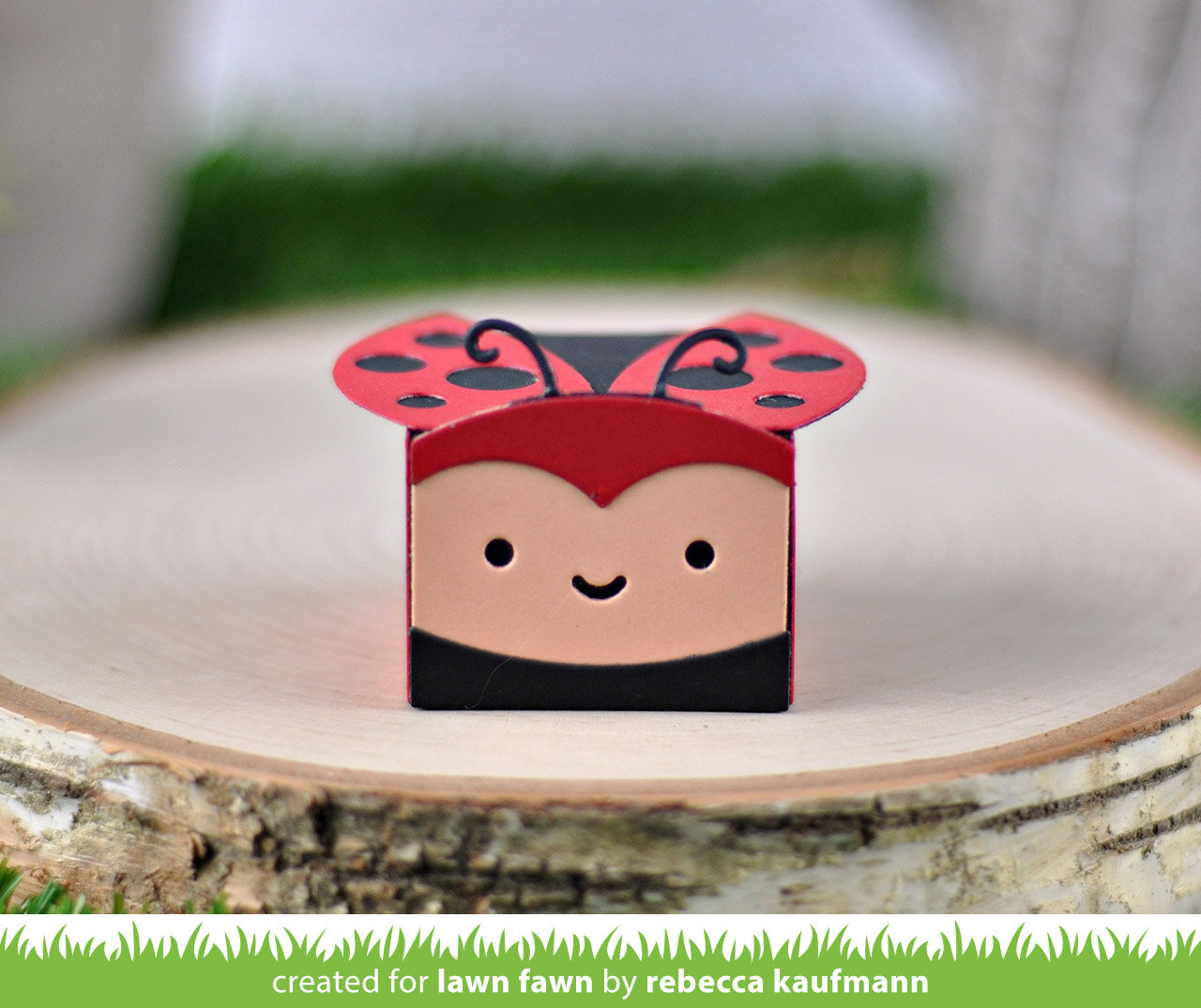 LF2256_TinyGiftBoxLadybugAddOn2.jpg