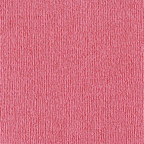 Bazzill Bling Cardstock 12"X12" Feather Boa