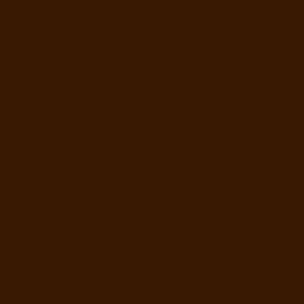 Copic Sketch Marker E59 Walnut