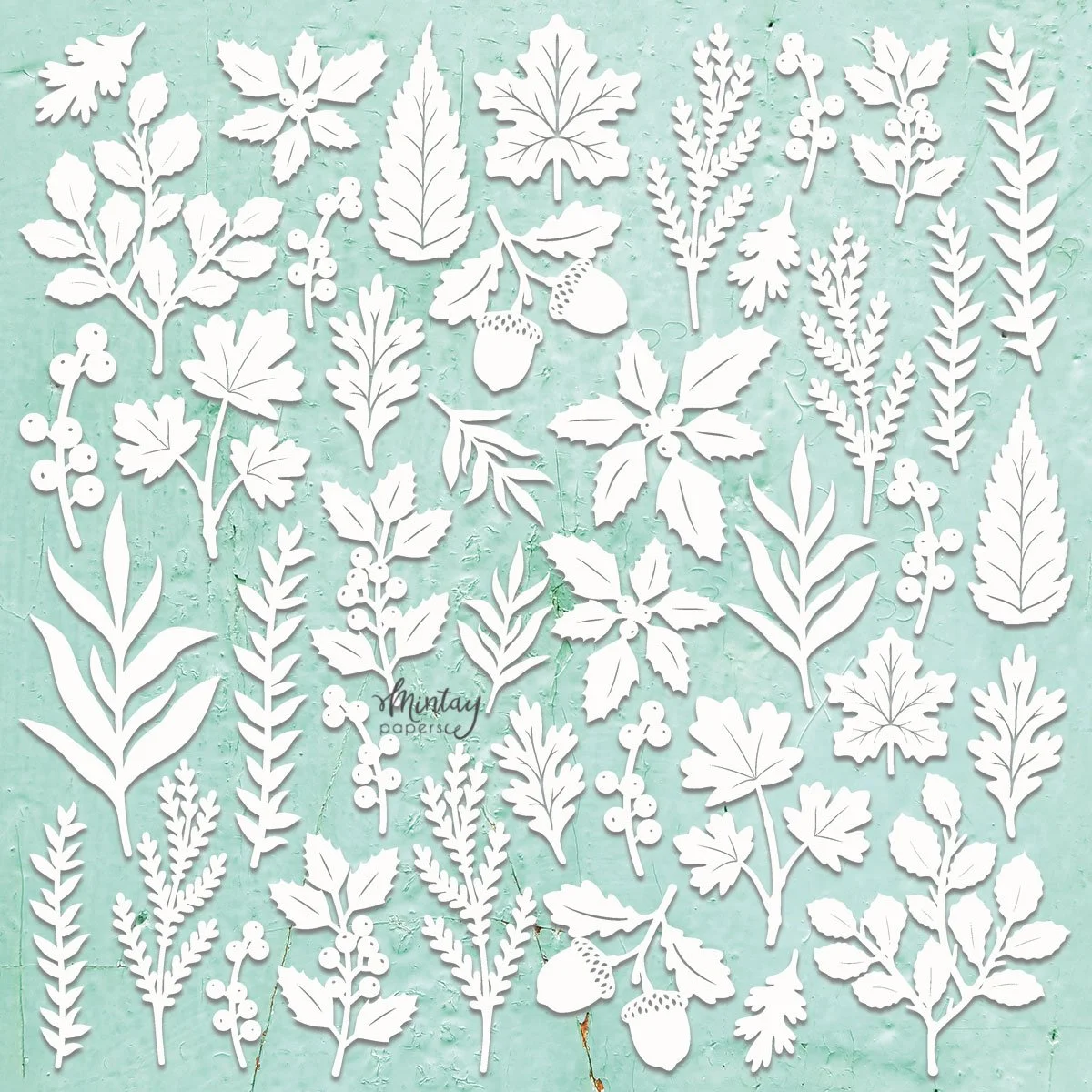 Mintay Chippies - Decor - Doilies Set main image 0