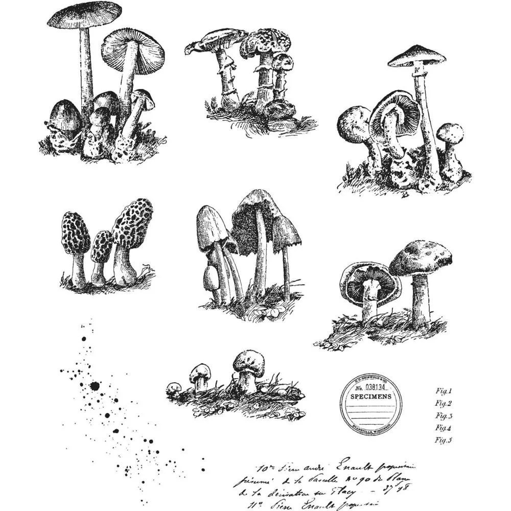 Tim Holtz Cling Mount Stamps - Tiny Toadstools