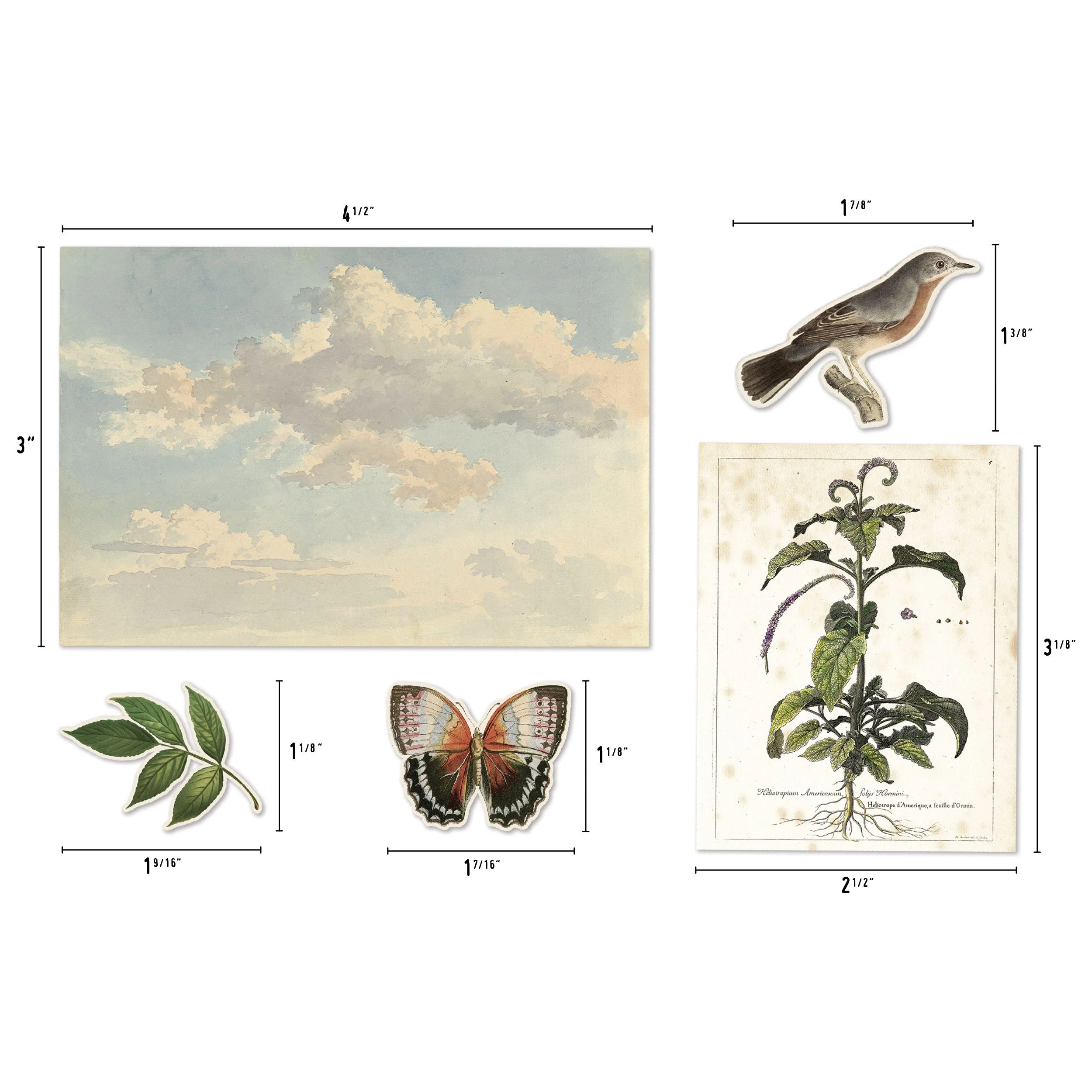 TH94316 - Layers, Organic - Dimensions - Hi-Res.jpg