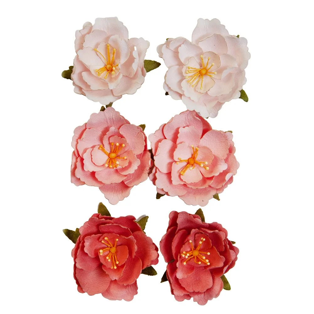 Prima The Plant Department Collection Flowers Rooted