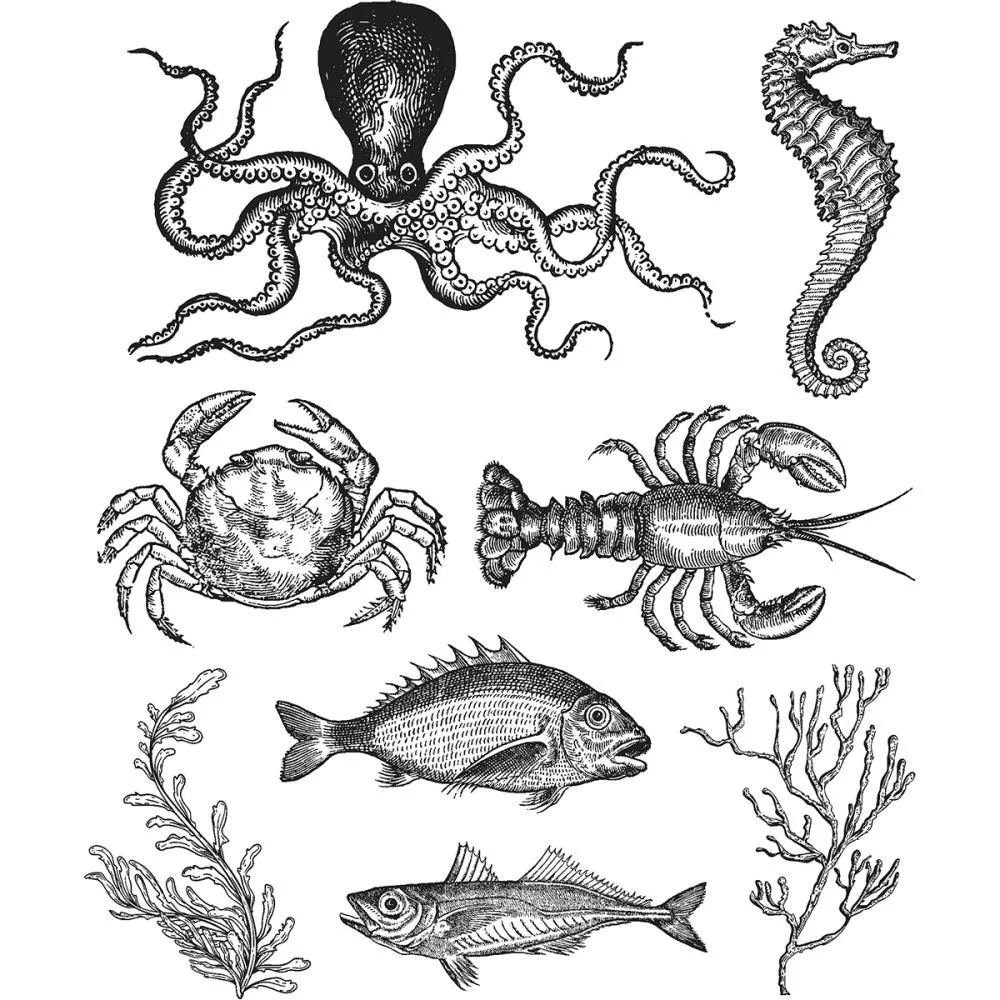 Tim Holtz Cling Mount Stamps Sea Life