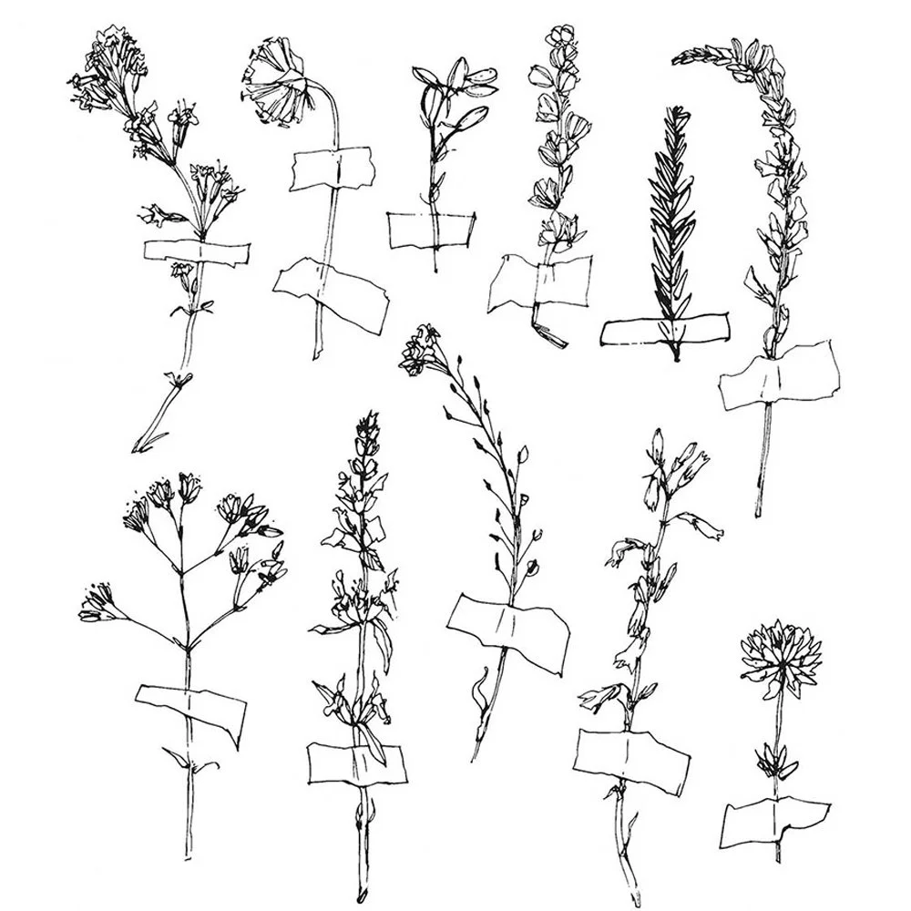 Tim Holtz Cling Stamps Forgotten Garden