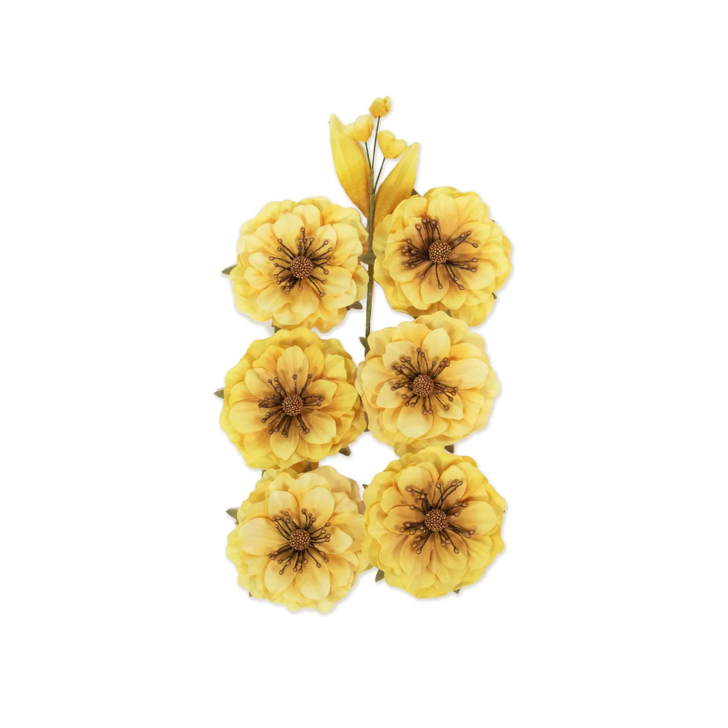 Prima Among the Wildflowers Collection Flowers Honey Bloom