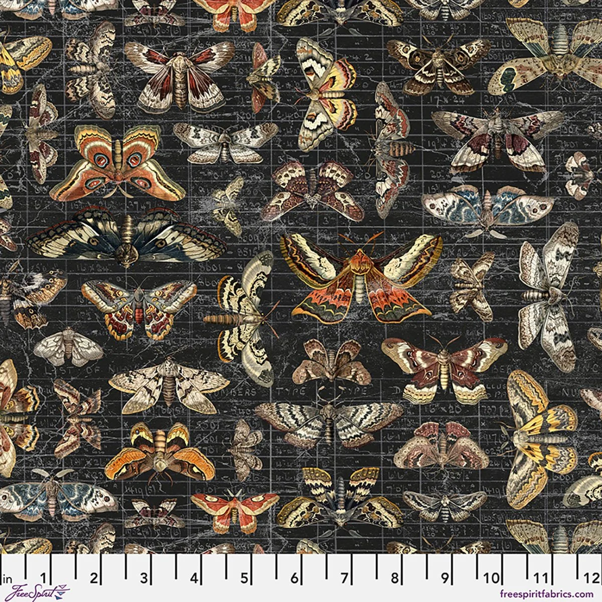 Tim Holtz Eclectic Elements Palette Seasonal Canvas Cloth Halloween Moth Study