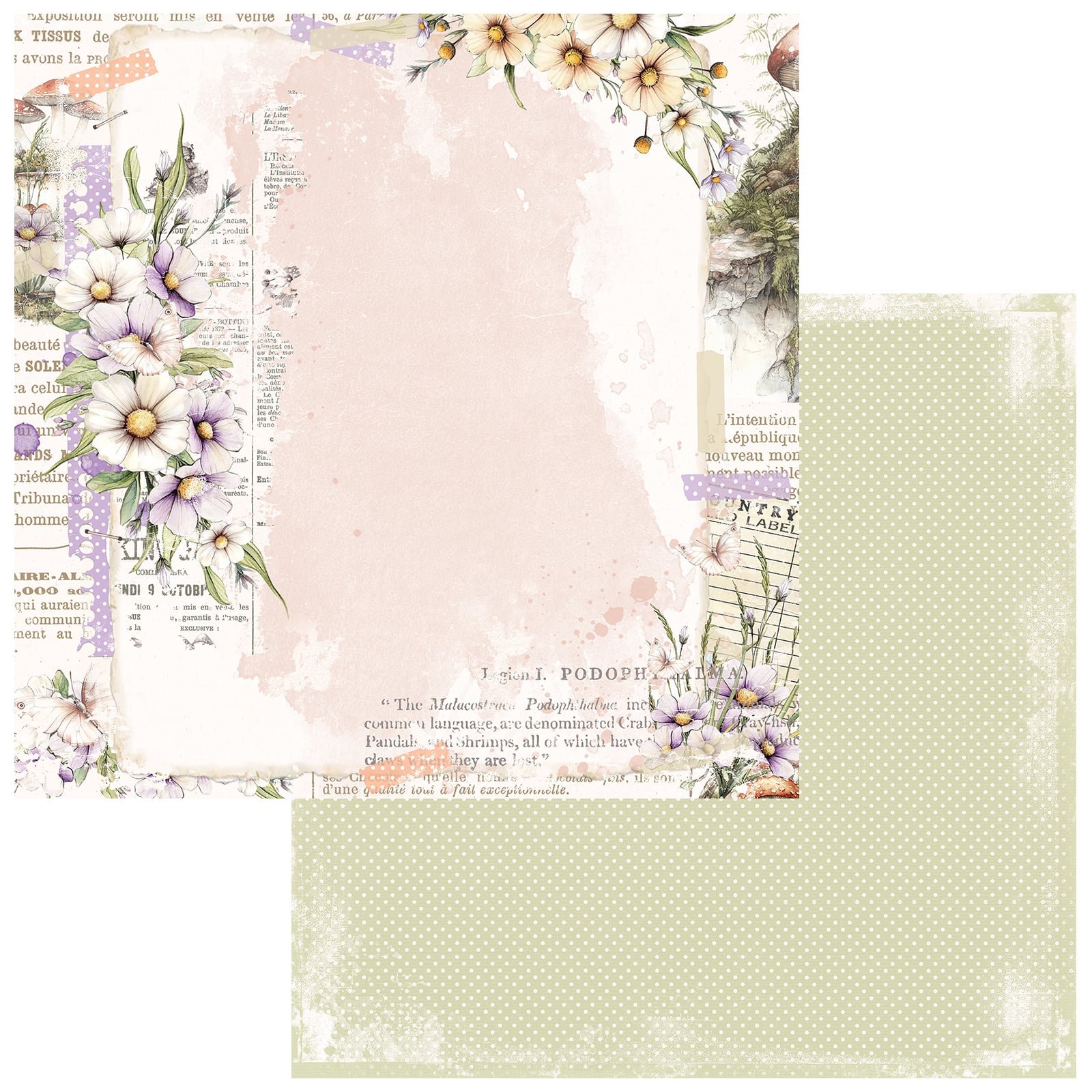 *Pre-Order* 49 & Market The Looking Glass 12" x 12" Paper Enchanted Note