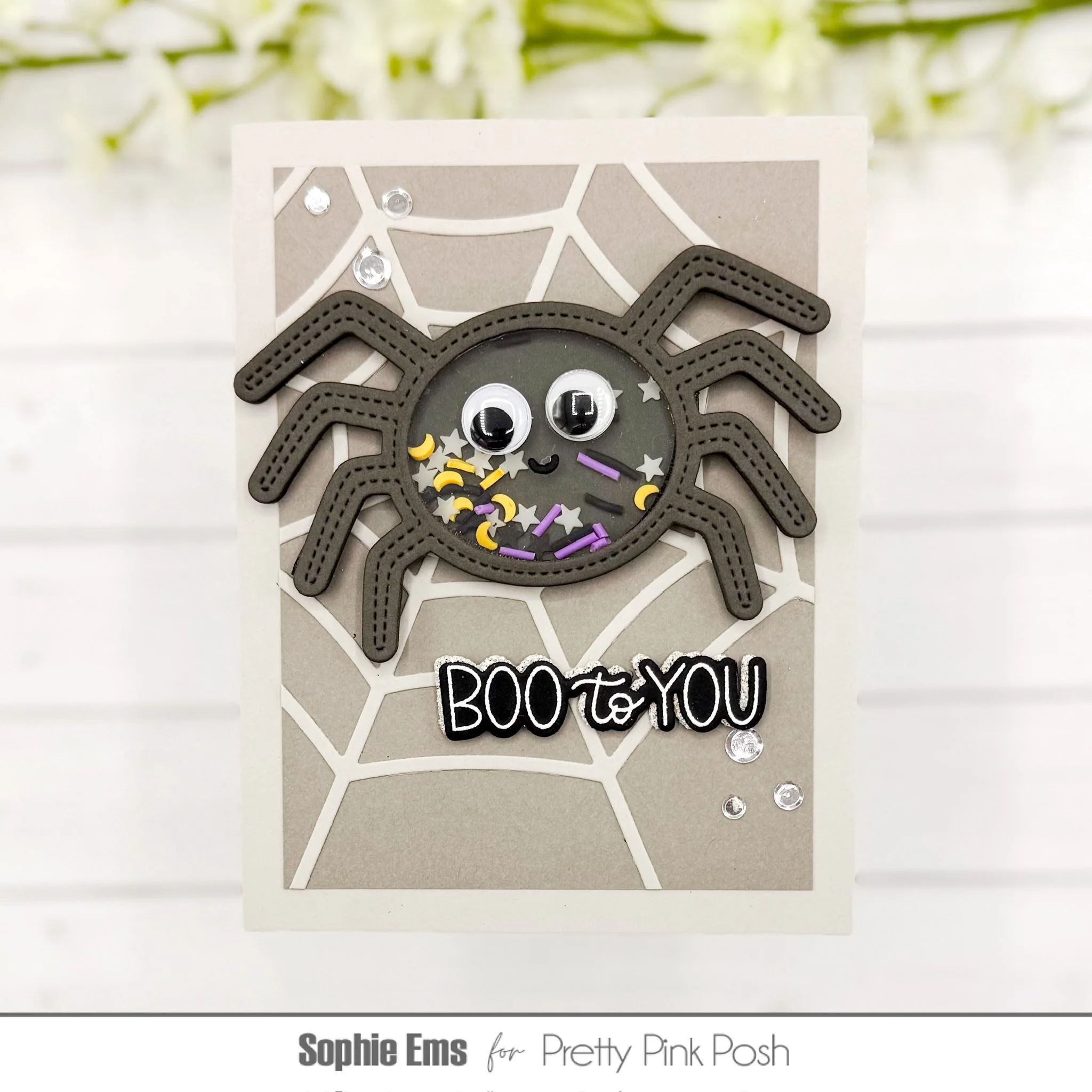 SpiderShaker_Sophie.jpg