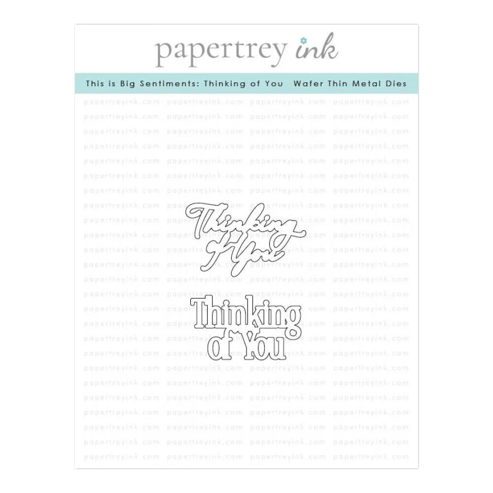 Papertrey Ink This is Big Sentiments: Thinking of You Coordinating Die