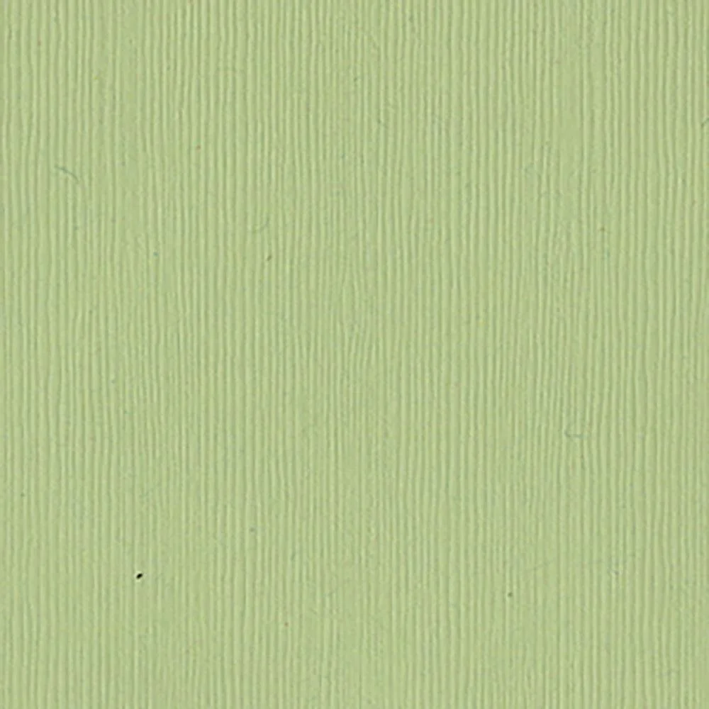 Bazzill Fourz Cardstock 12"X12" Spring Breeze