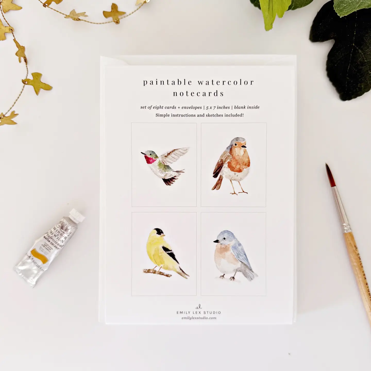 Emily Lex Studio Backyard Birds Paintable Notecards