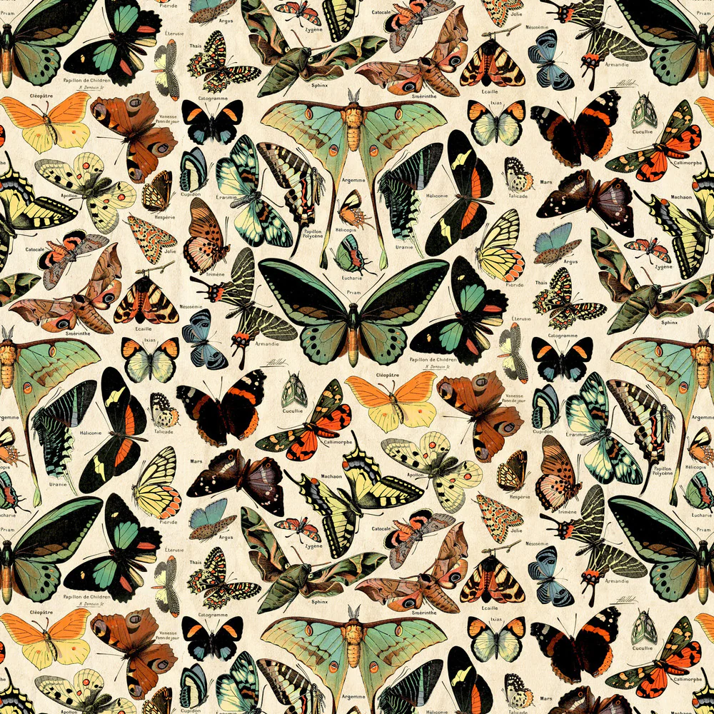 Tim Holtz Eclectic Elements Palette Canvas Teal Butterflies
