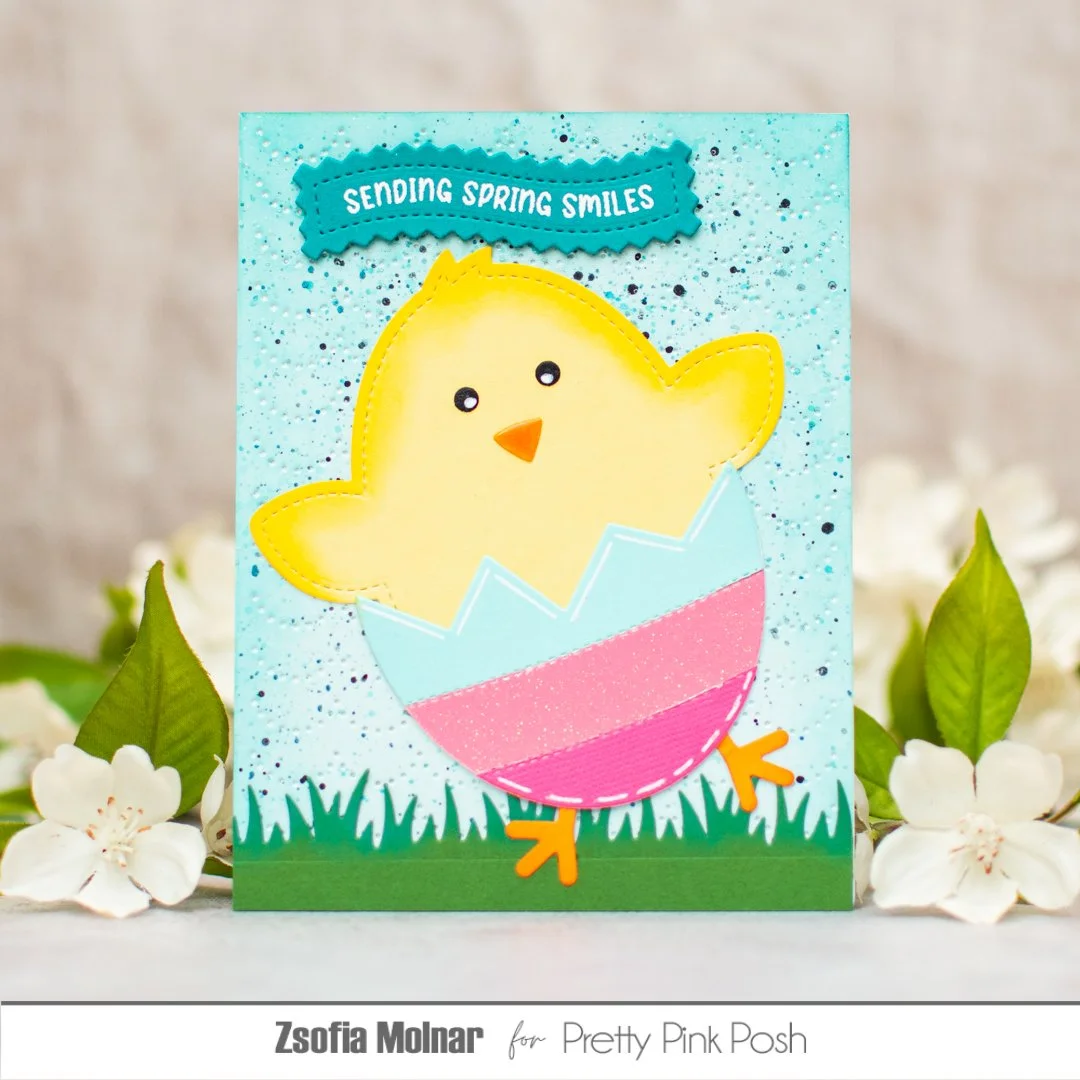 Chick Shaker_Zsofia.jpg