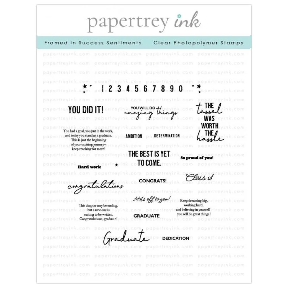 Papertrey Ink Framed in Success Sentiments Stamp Set
