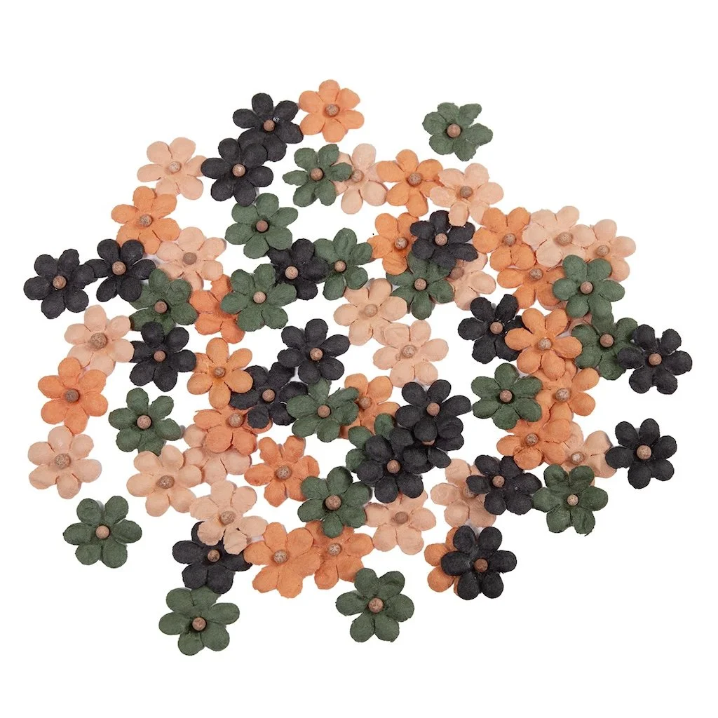 685096.jpg
