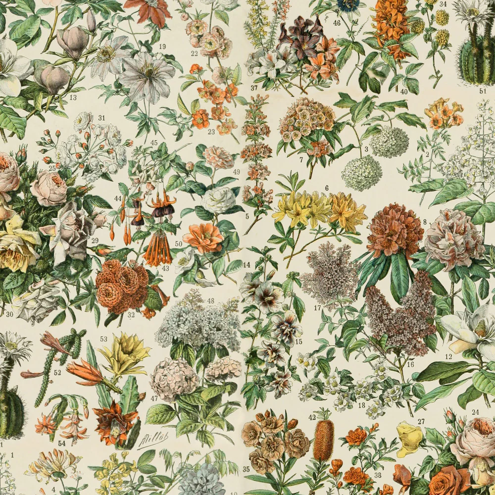 Tim Holtz Eclectic Elements Palette Canvas Orange Botanical