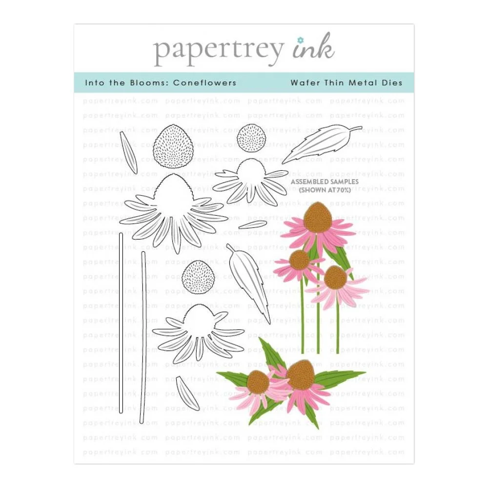Papertrey Ink Into the Blooms: Coneflowers Die