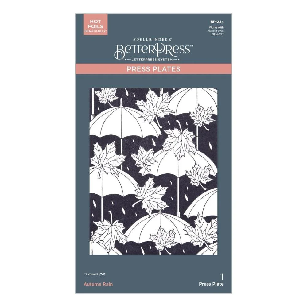 Spellbinders Betterpress Autumn Rain Plate