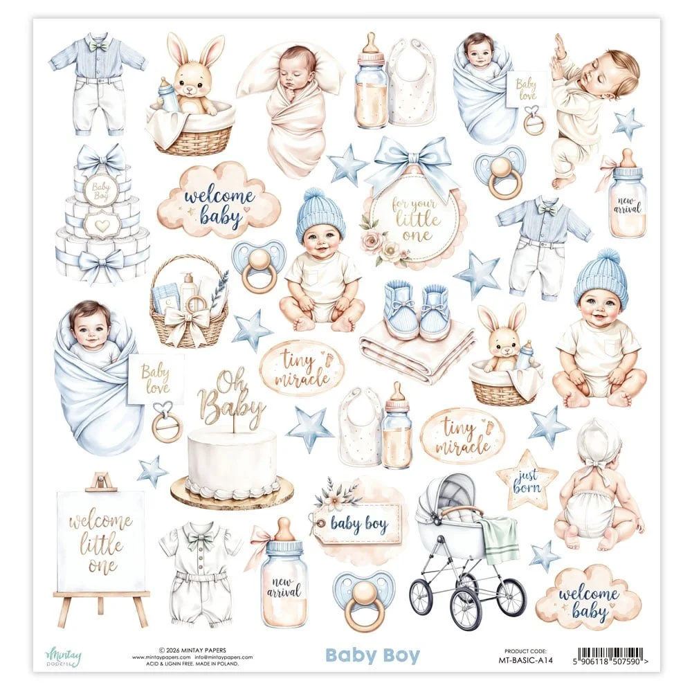 Mintay Basics 12" x 12" Elements Sheet Baby Boy