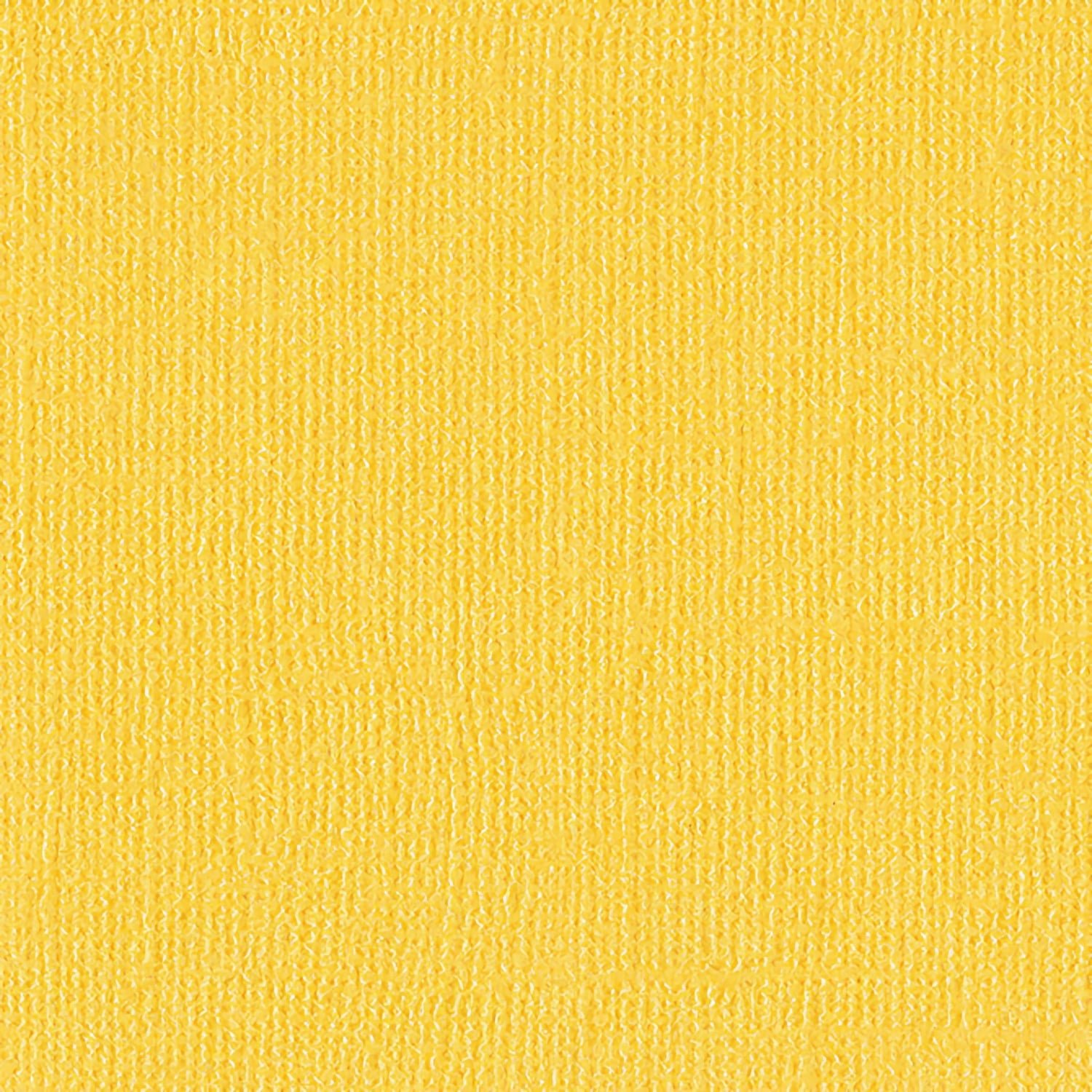 Bazzill Bling Cardstock 12"X12" Bling