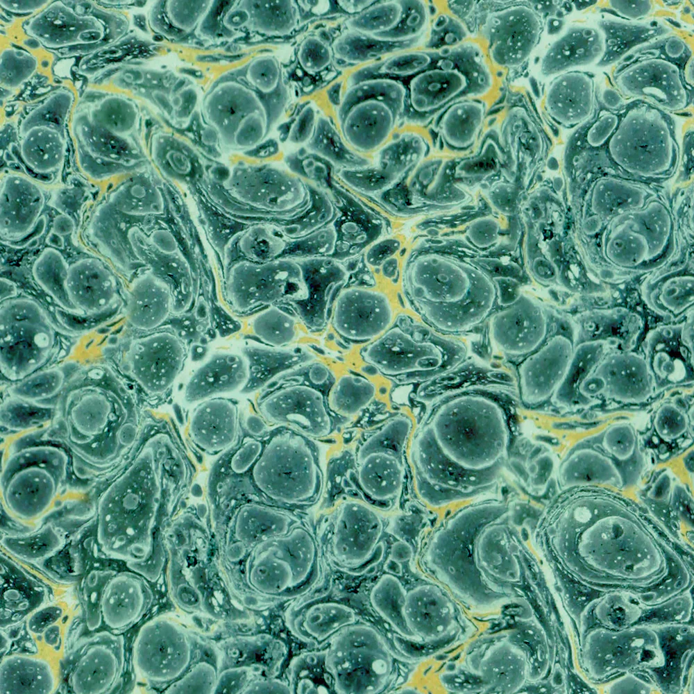 Tim Holtz Eclectic Elements Palette Canvas Teal Marble