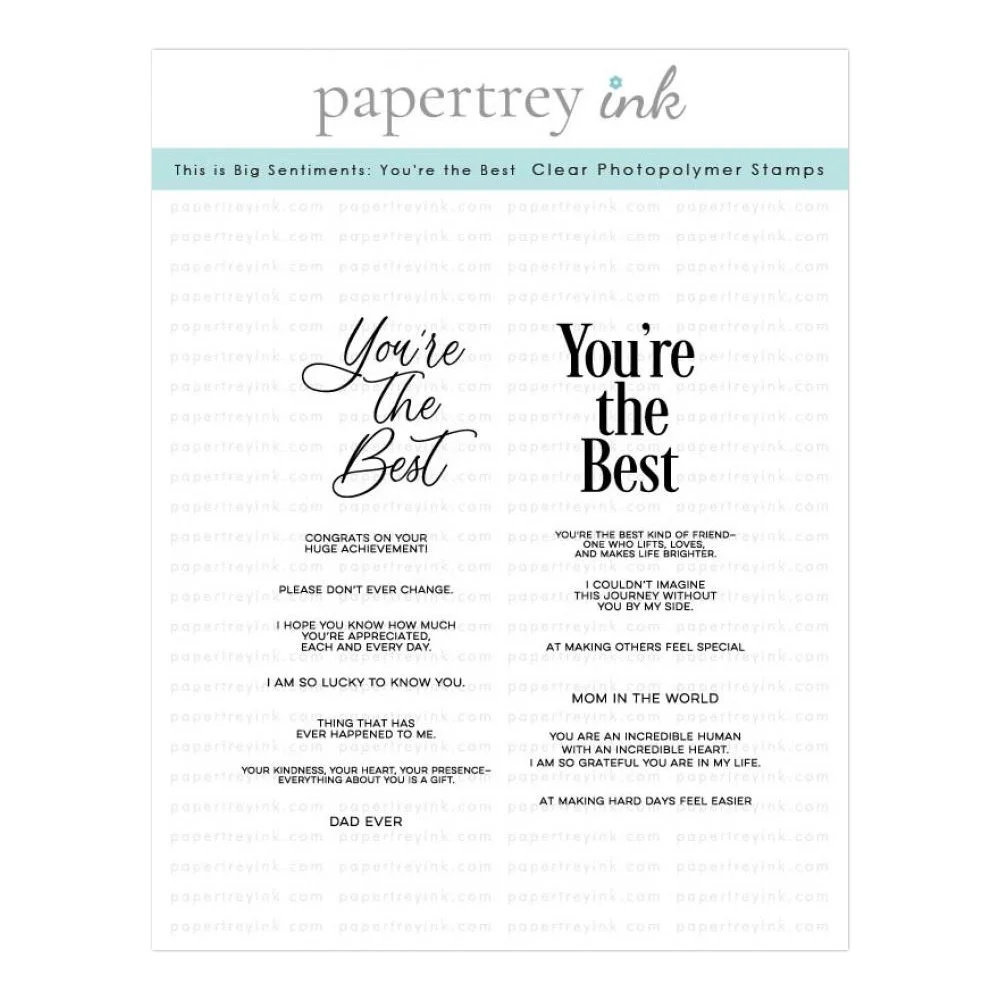 Papertrey Ink This is Big Sentiments: You're the Best Stamp Set