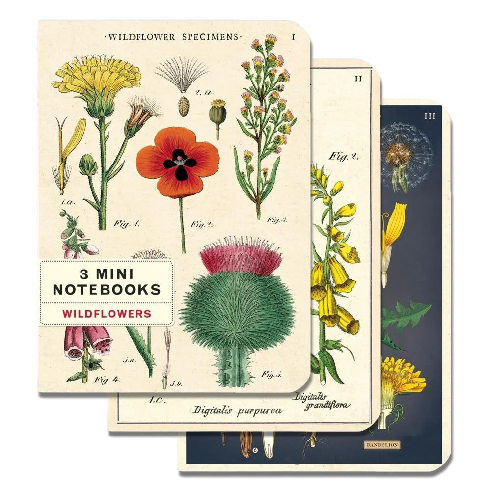 Cavallini Mini Notebooks Wildflowers 2