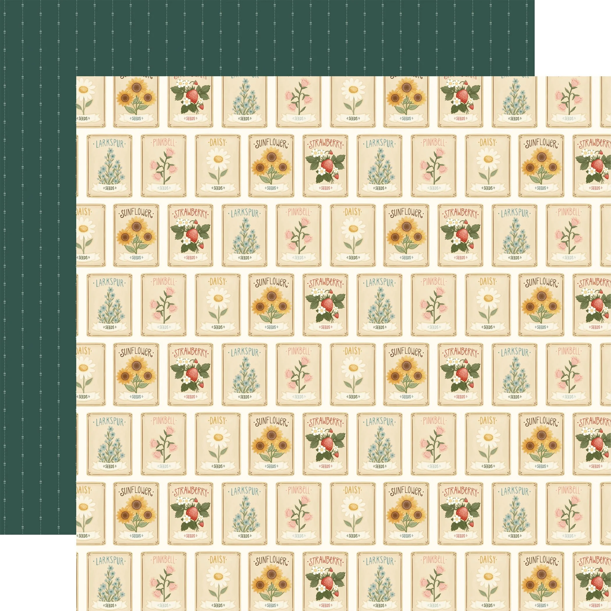 Carta Bella Home Sweet Home 12" x 12" Paper Favorite Flower Seeds