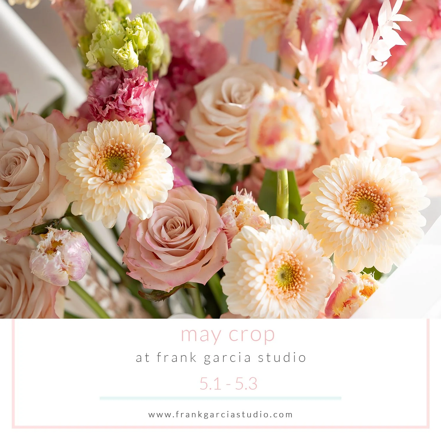 May 3-Day Crop at Frank Garcia Studio