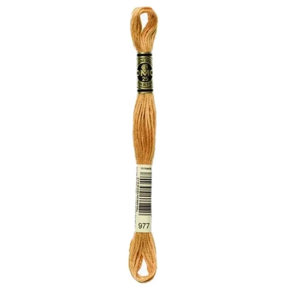 DMC 6-Strand Embroidery Cotton 8.7yd Light Golden Brown 977