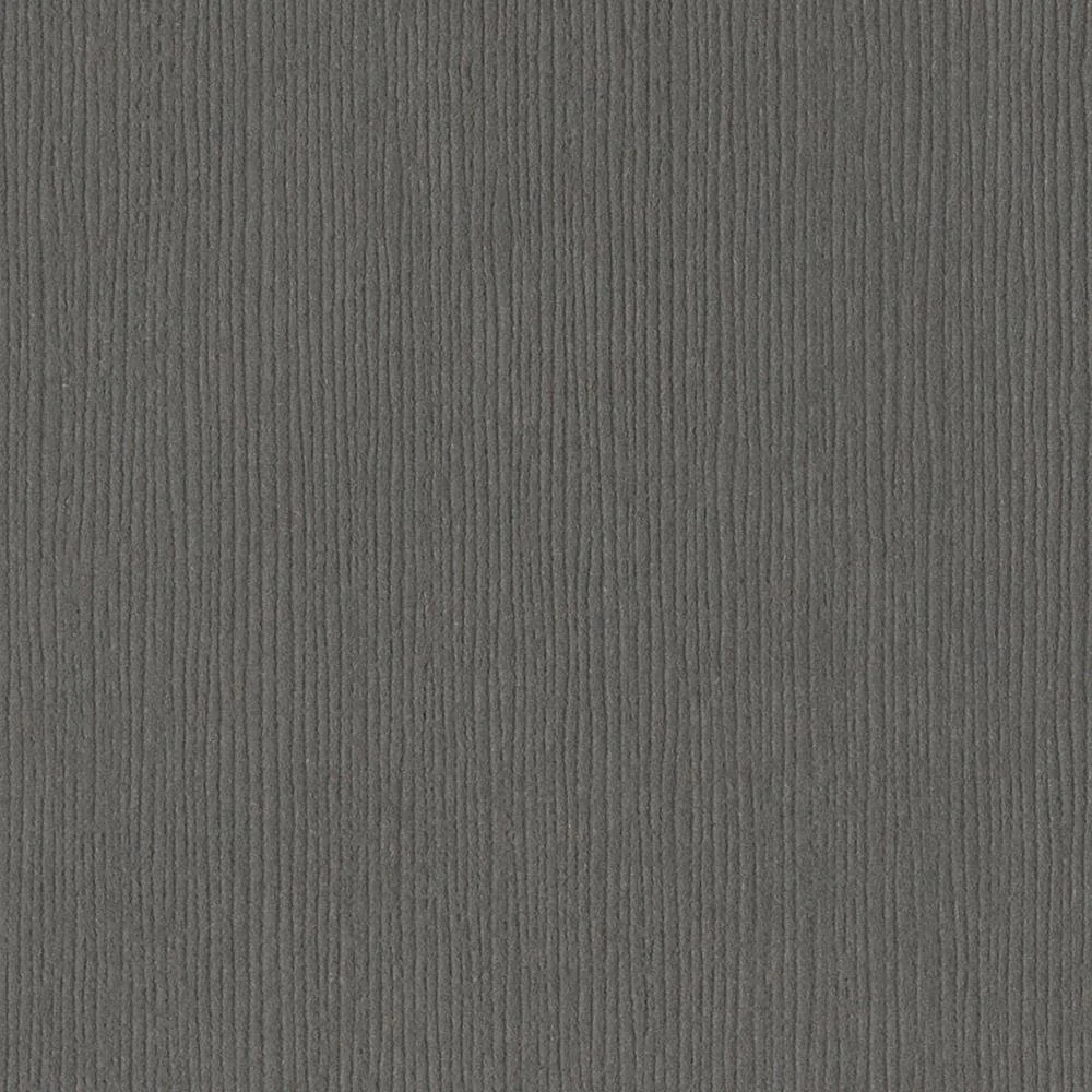 Bazzill Fourz Cardstock 12"X12" Zinc