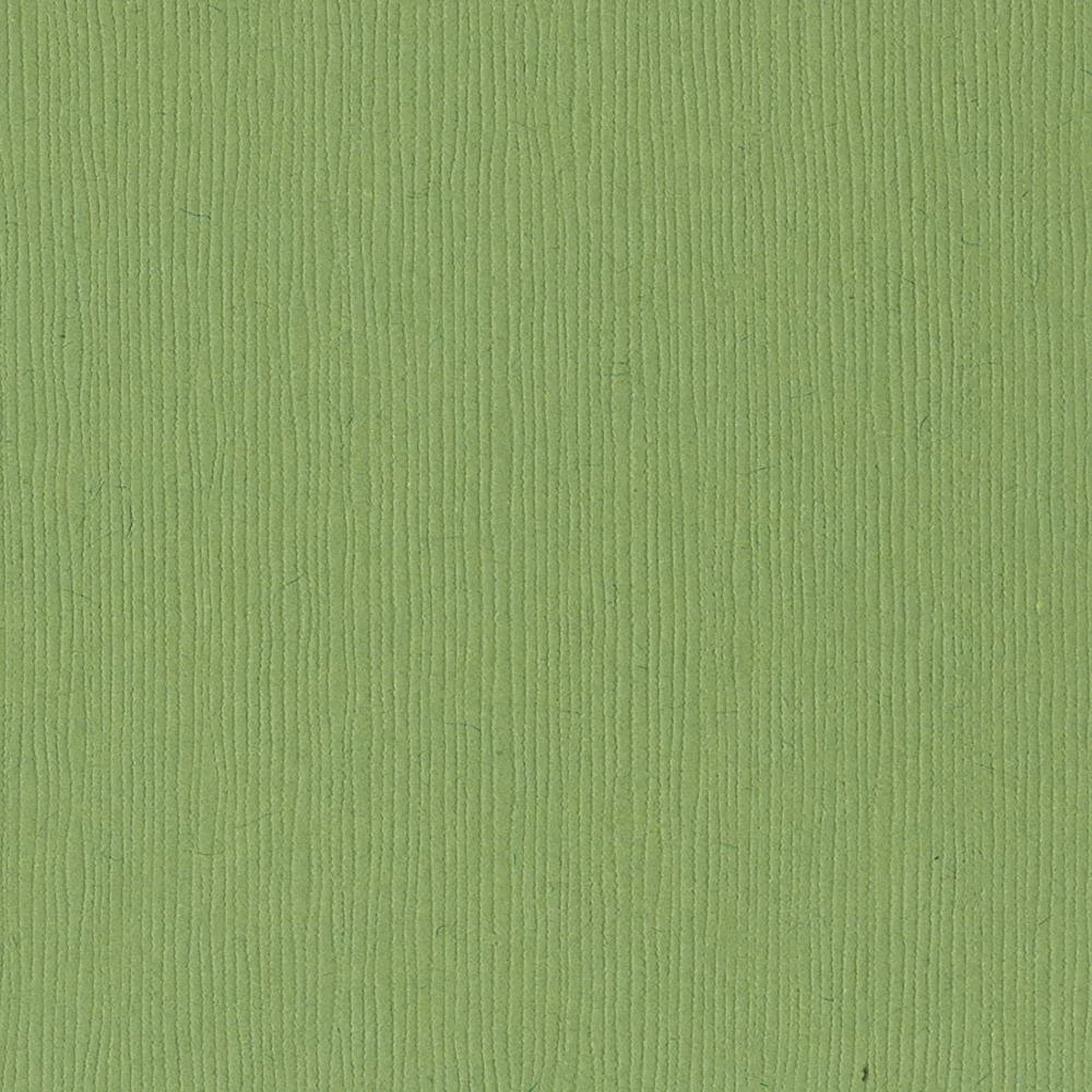 Bazzill Fourz Cardstock 12"X12" Lily Pond