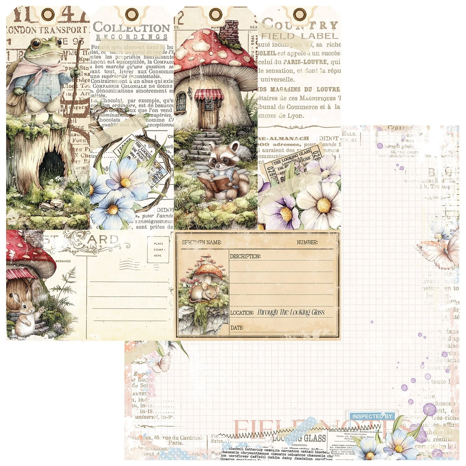 *Pre-Order* 49 & Market The Looking Glass 12" x 12" Paper  Collector Of Echoes