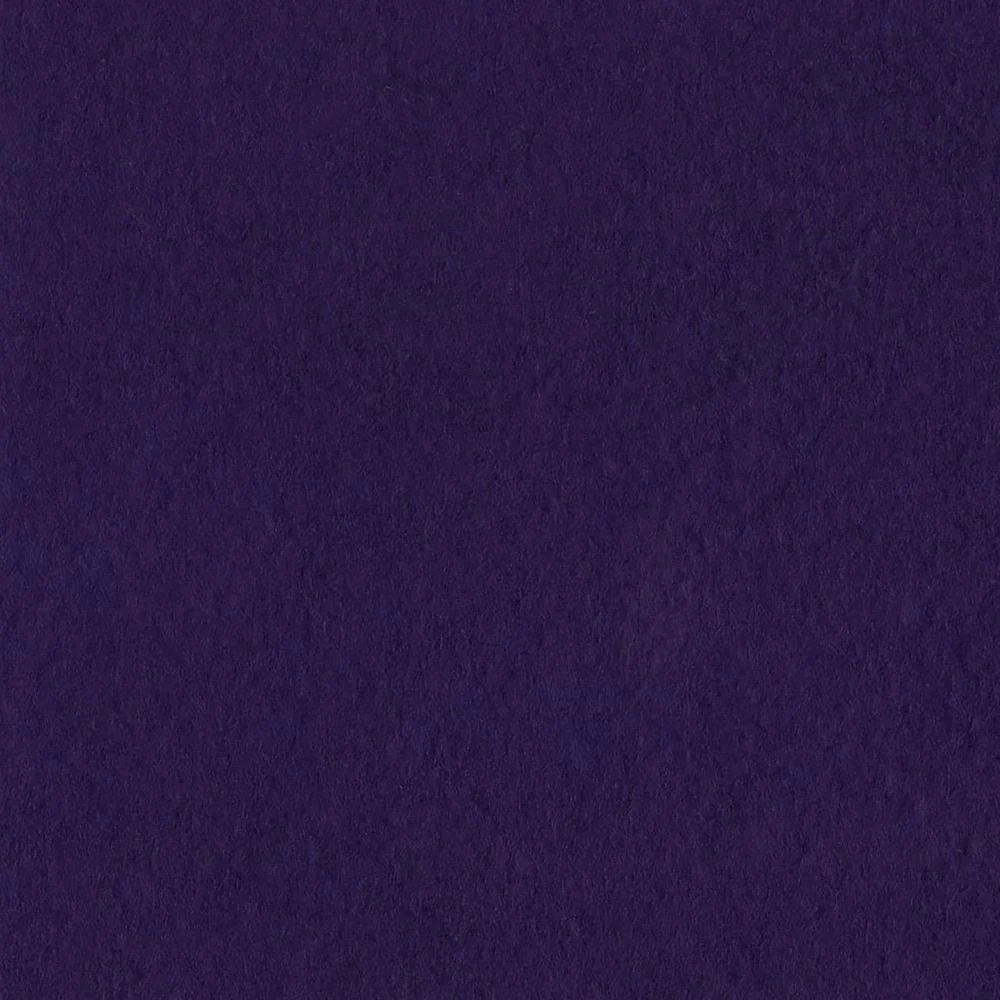 Bazzill Fourz Cardstock 12"X12" Classic Purple