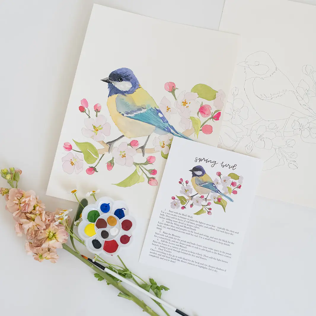 Bailey Rae Studio Spring Bird Watercolor Kit