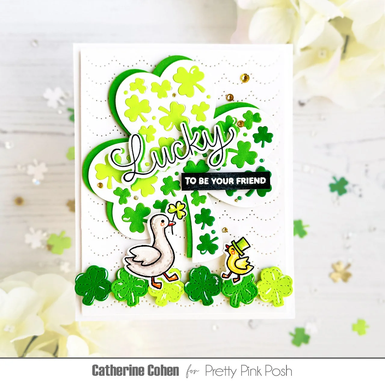 LuckyAnimals_Catherine.jpg (Copy)