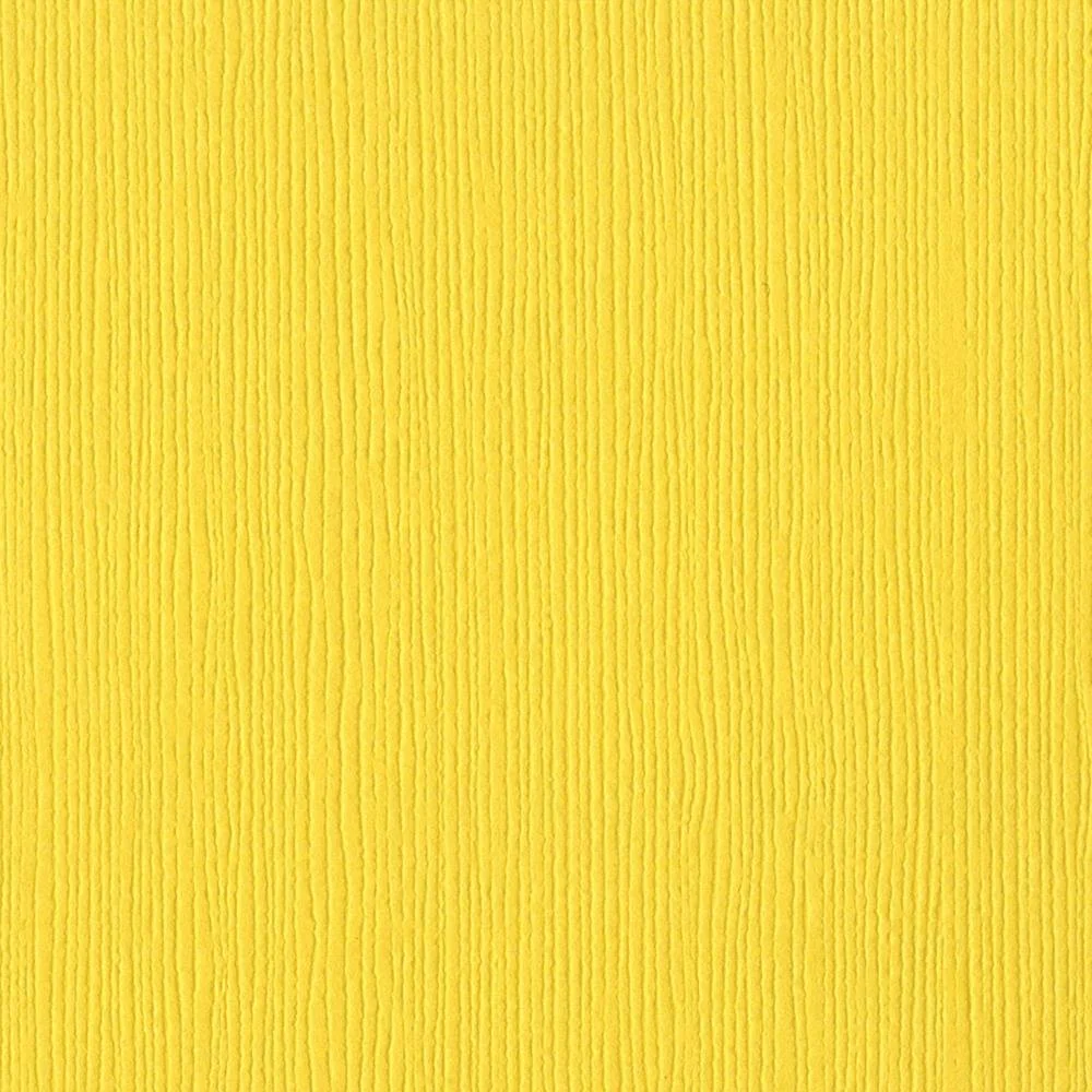 Bazzill Fourz Cardstock 12"X12" African Daisy