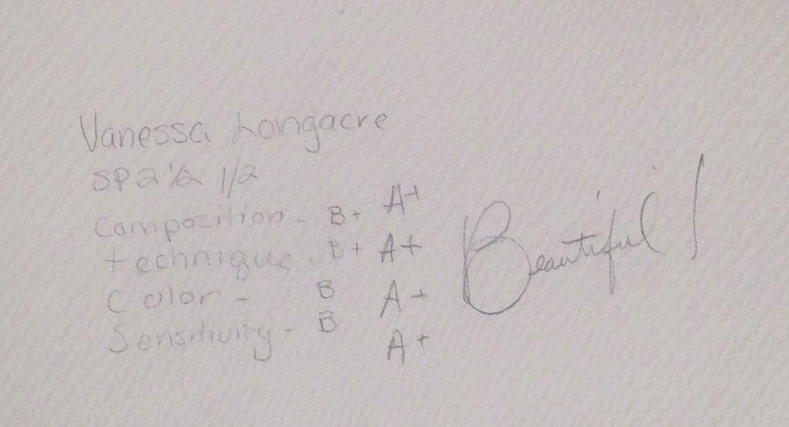 Figure 5 : Example of grading from watercolor. Mine on the left, teacher’s on the left.