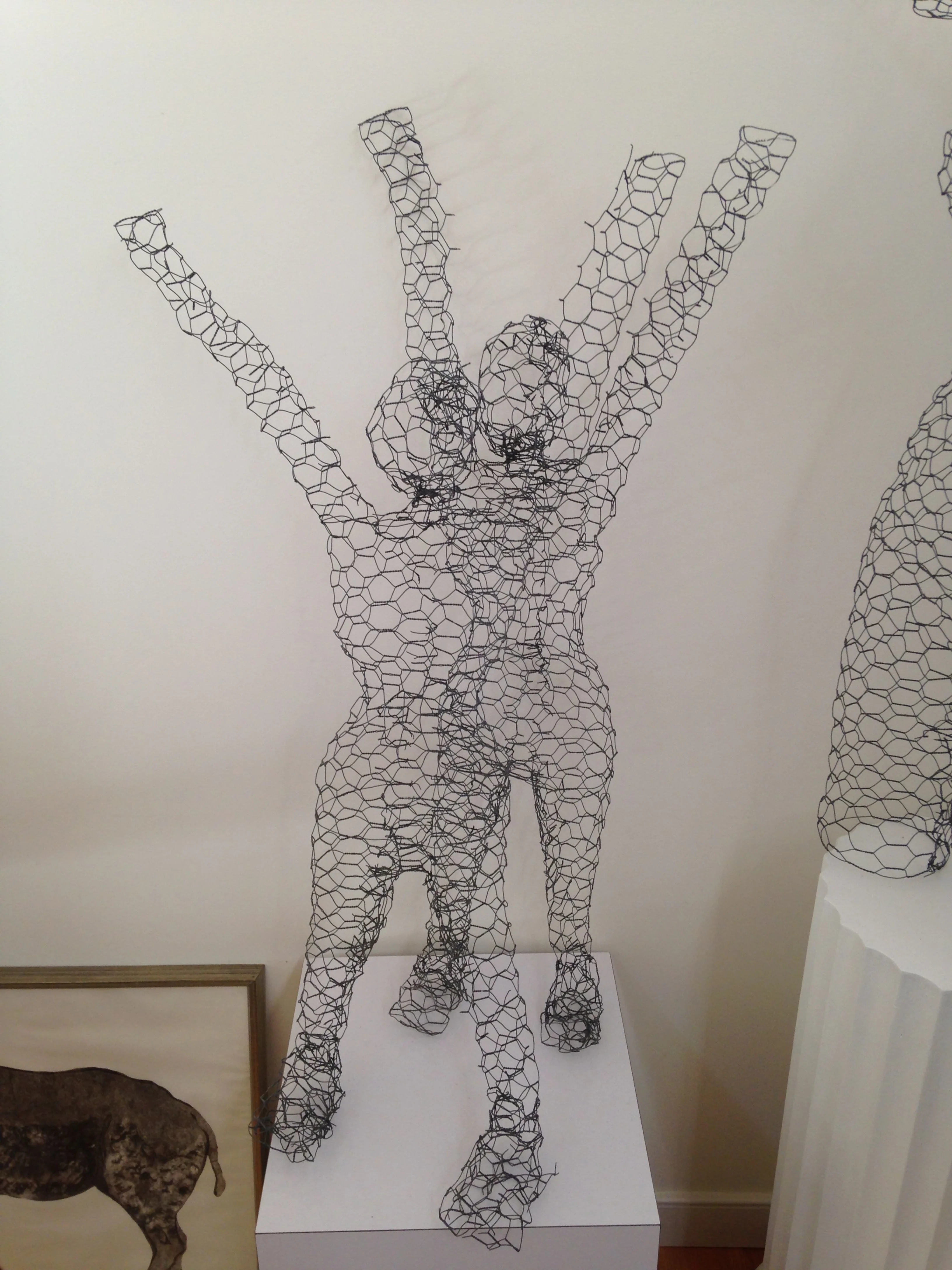 Figure 11 :Chicken Wire Ladies. Age 21
