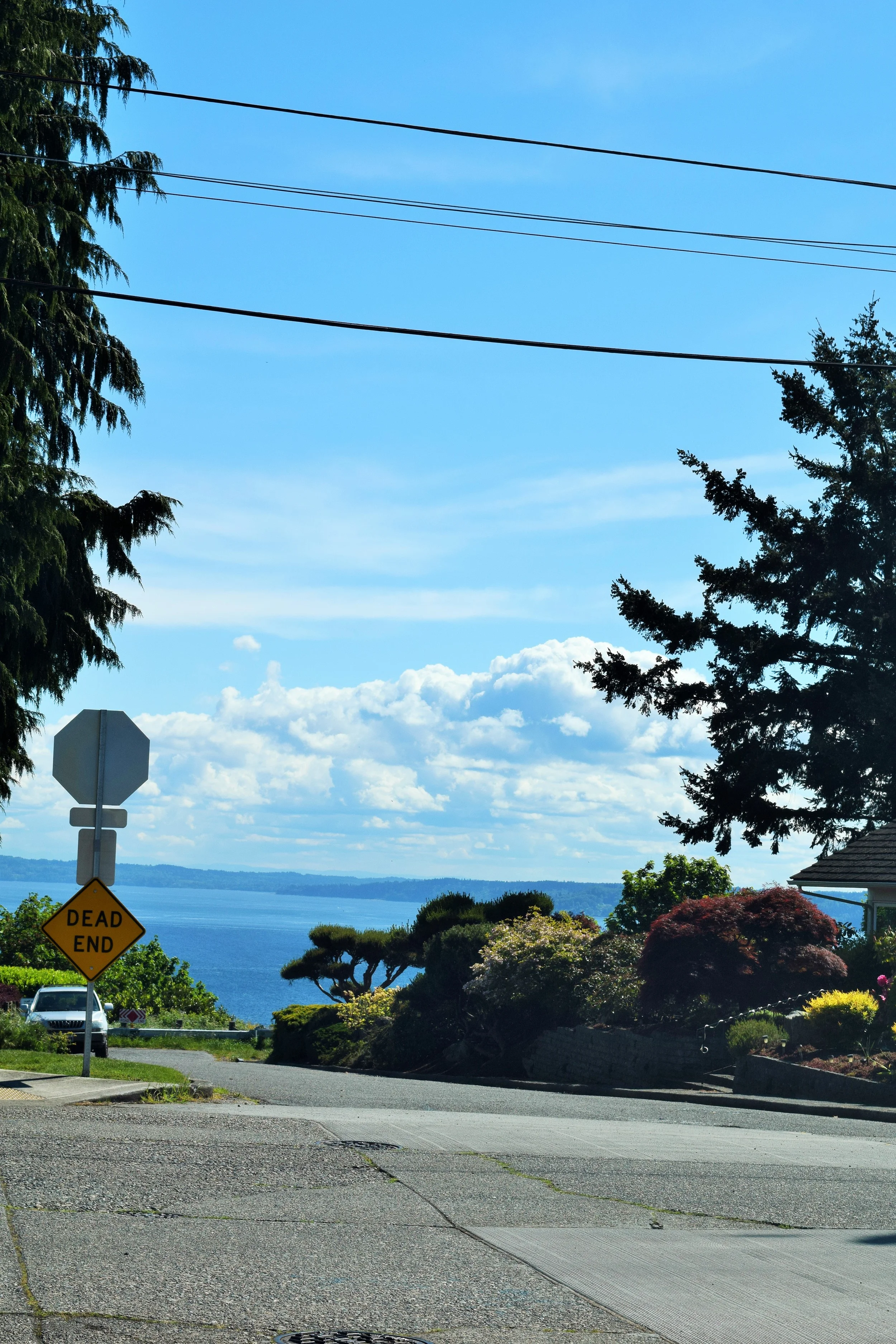 Figure 3: Beautiful Dead End.