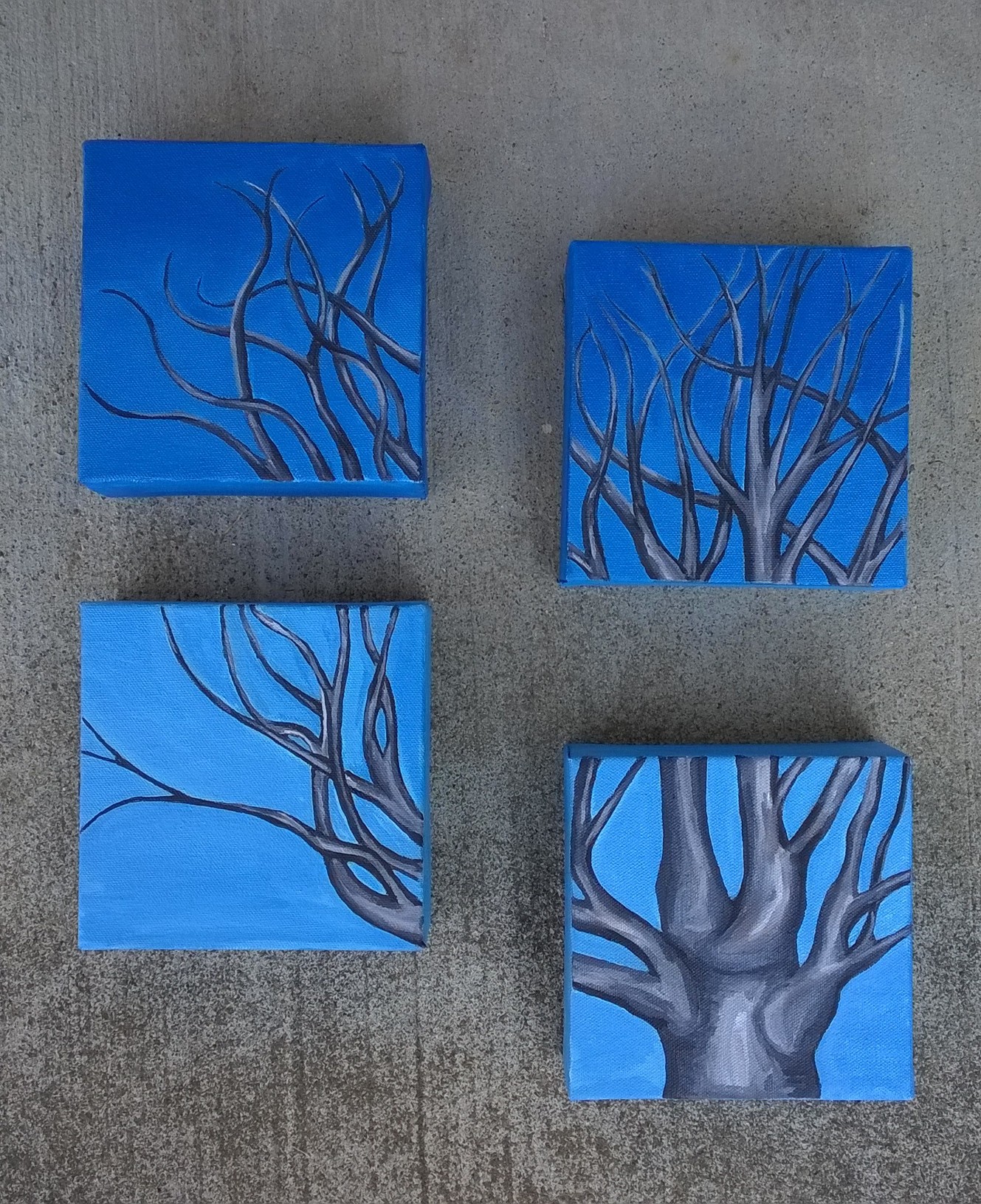My Favorite Tree
