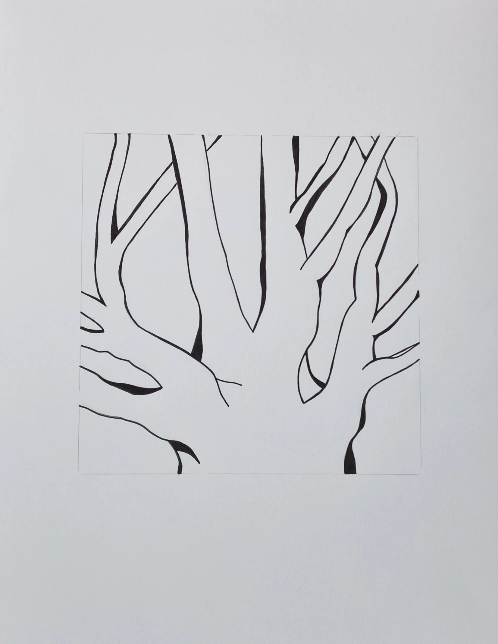 WP_20151209_10_52_27_Rich_LI (2).jpg