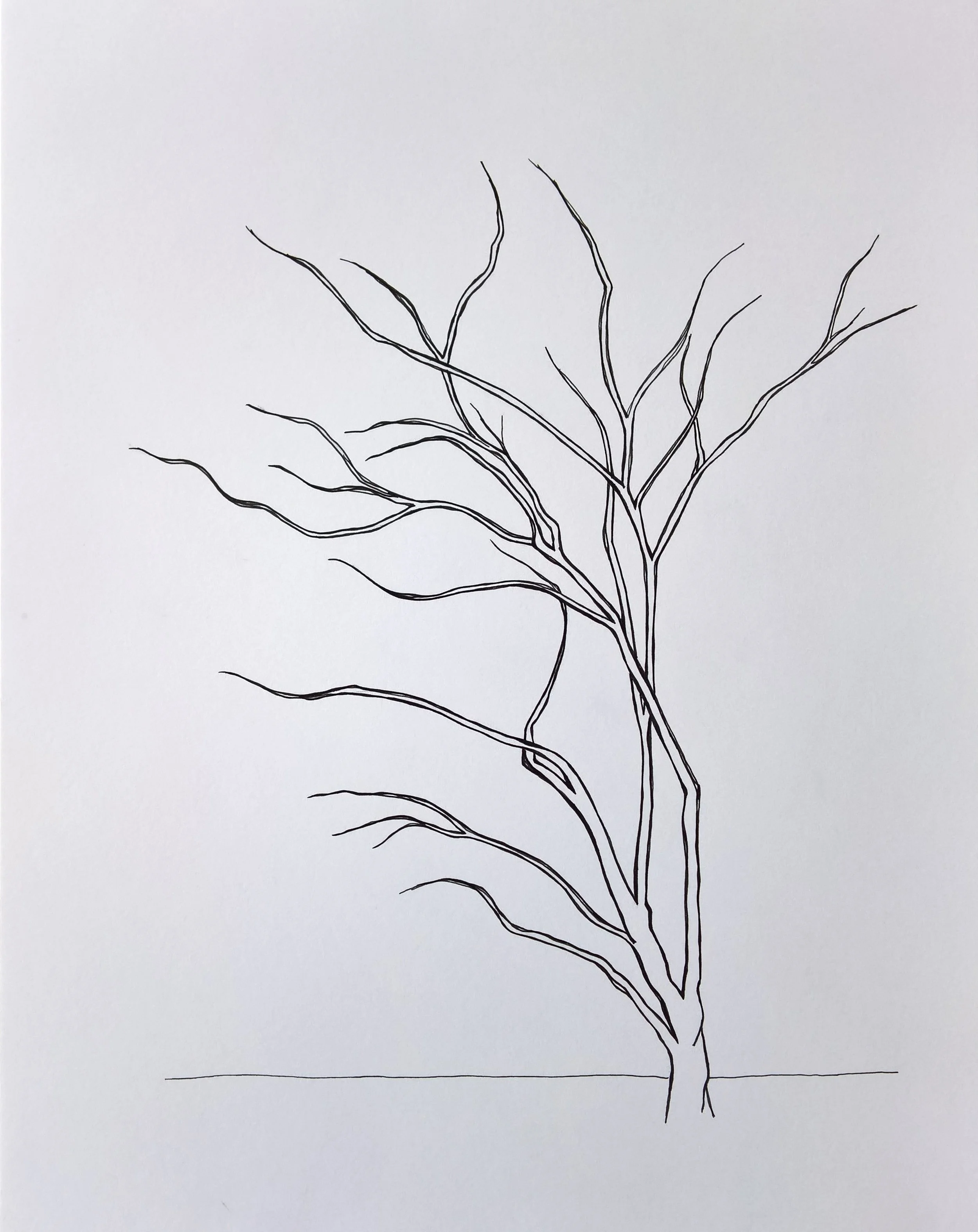 WP_20151209_10_54_51_Rich_LI (2).jpg