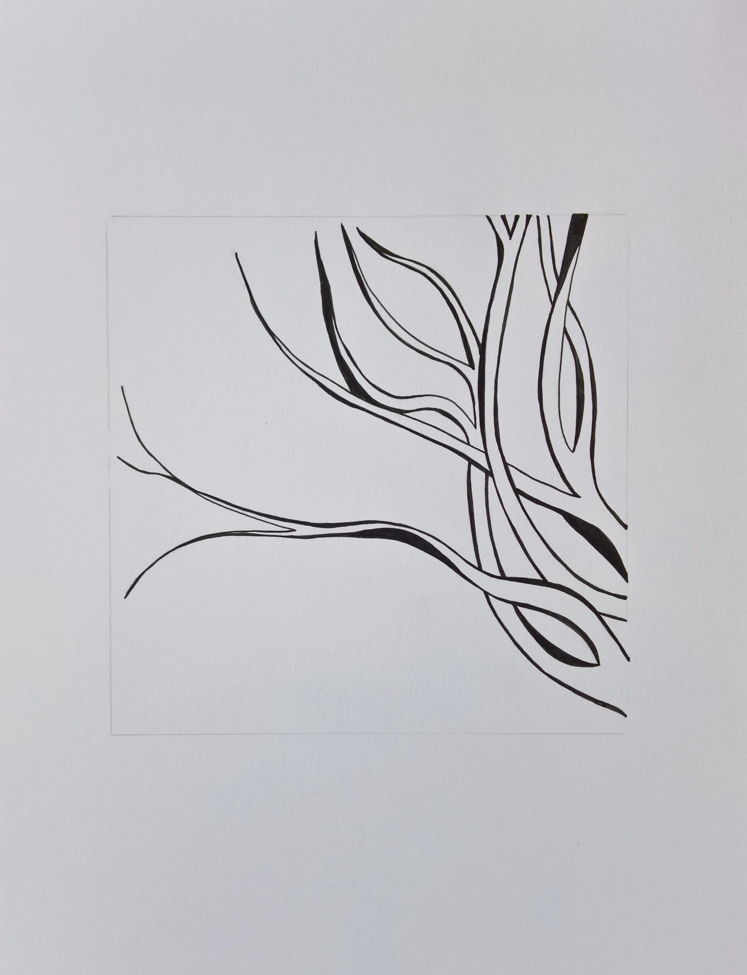 WP_20151209_10_55_55_Rich_LI (2).jpg