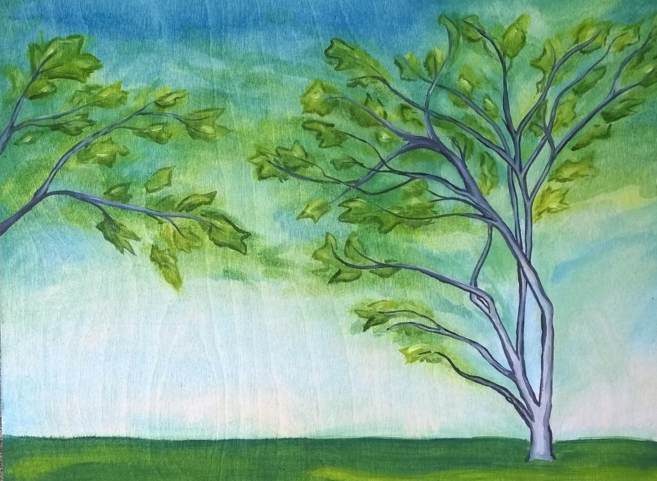 Wistful Trees on a Summer Day in Lincoln Park