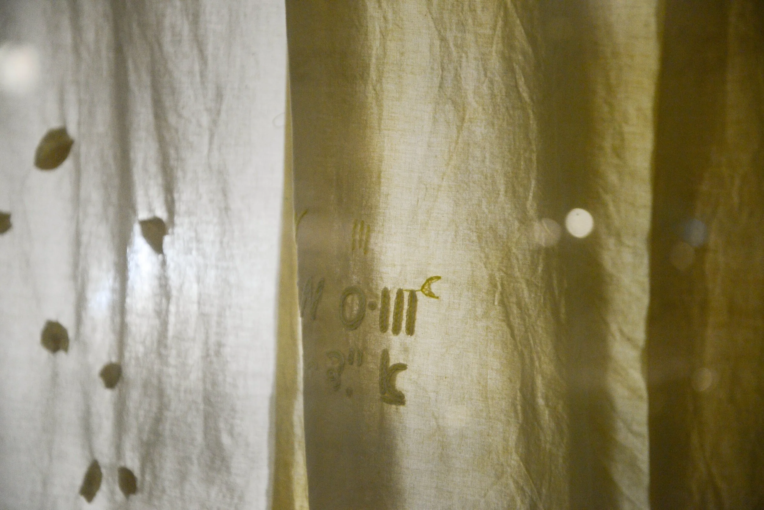 Photo by Georgia Hampton