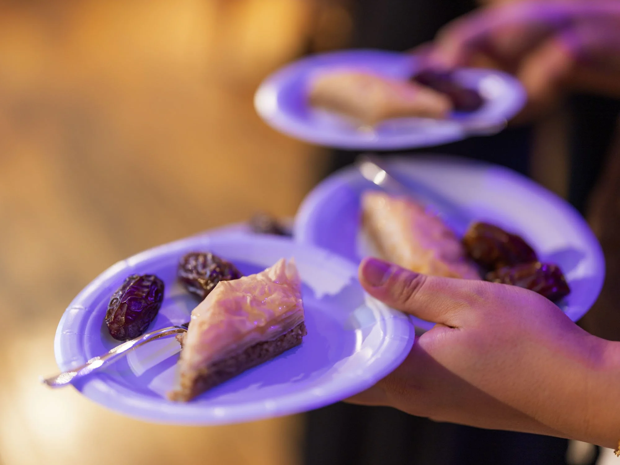 KURDISH_DINNER_2.jpg