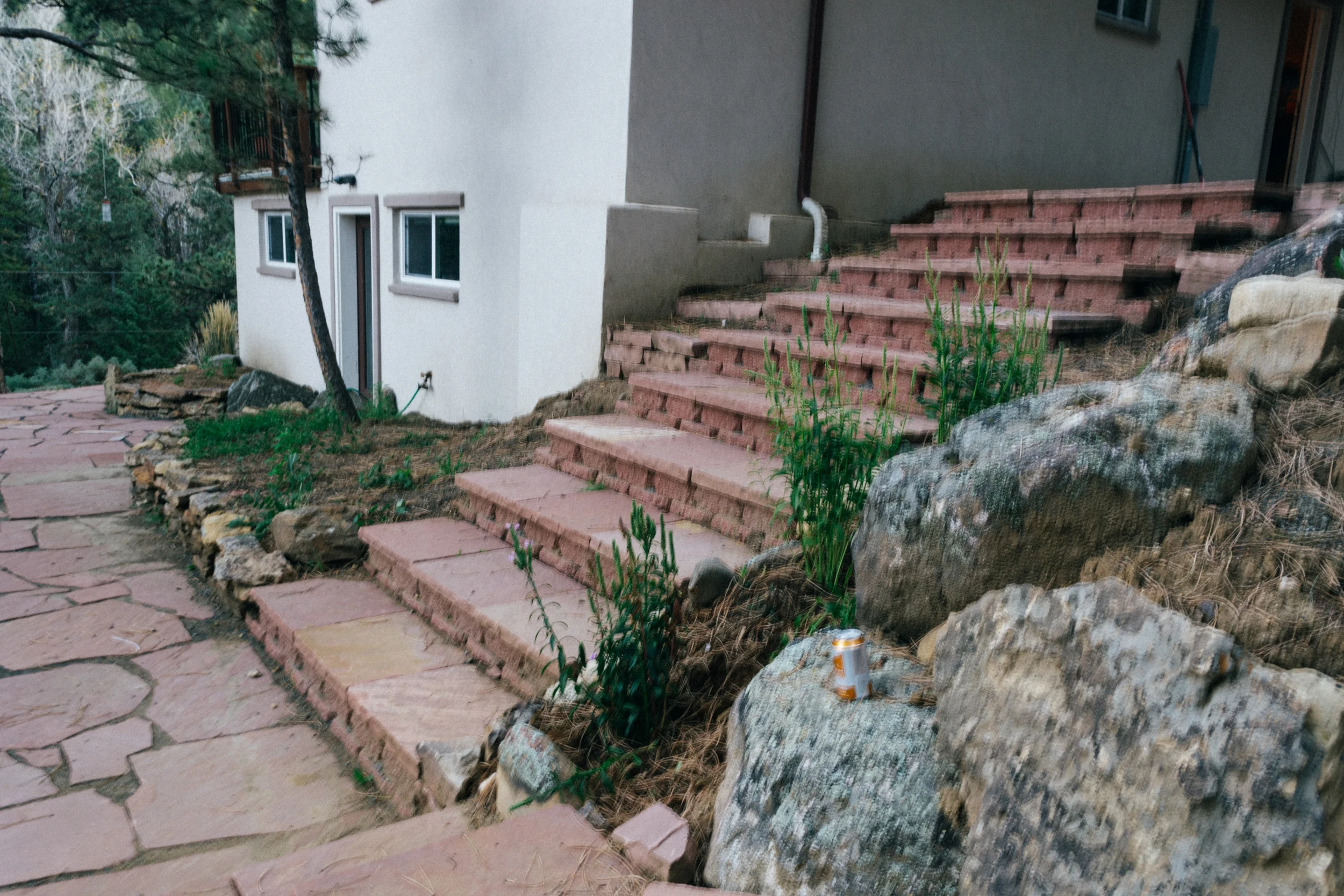 matt_landscape-0521 copy.jpg