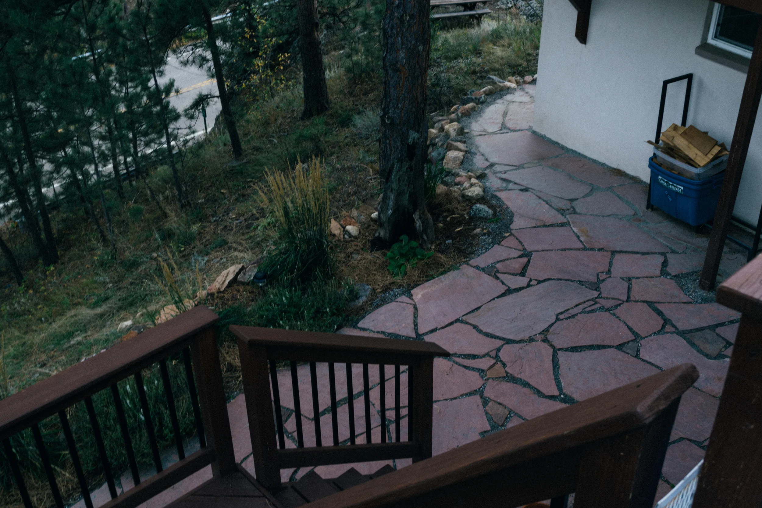 matt_landscape-0529 copy.jpg